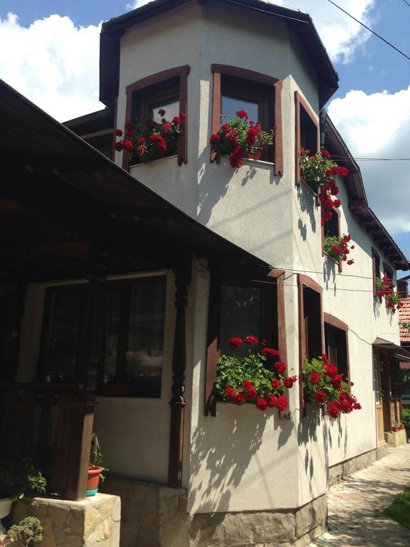 Pensiunea Casa Bianca - Bucovina Vama  Zewnętrze zdjęcie